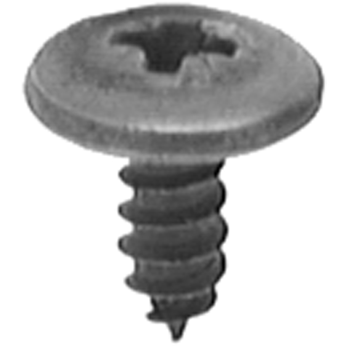 Auveco 4.2-1.41 X 10mm Phil Type 1a Drive Washer Hd - Black