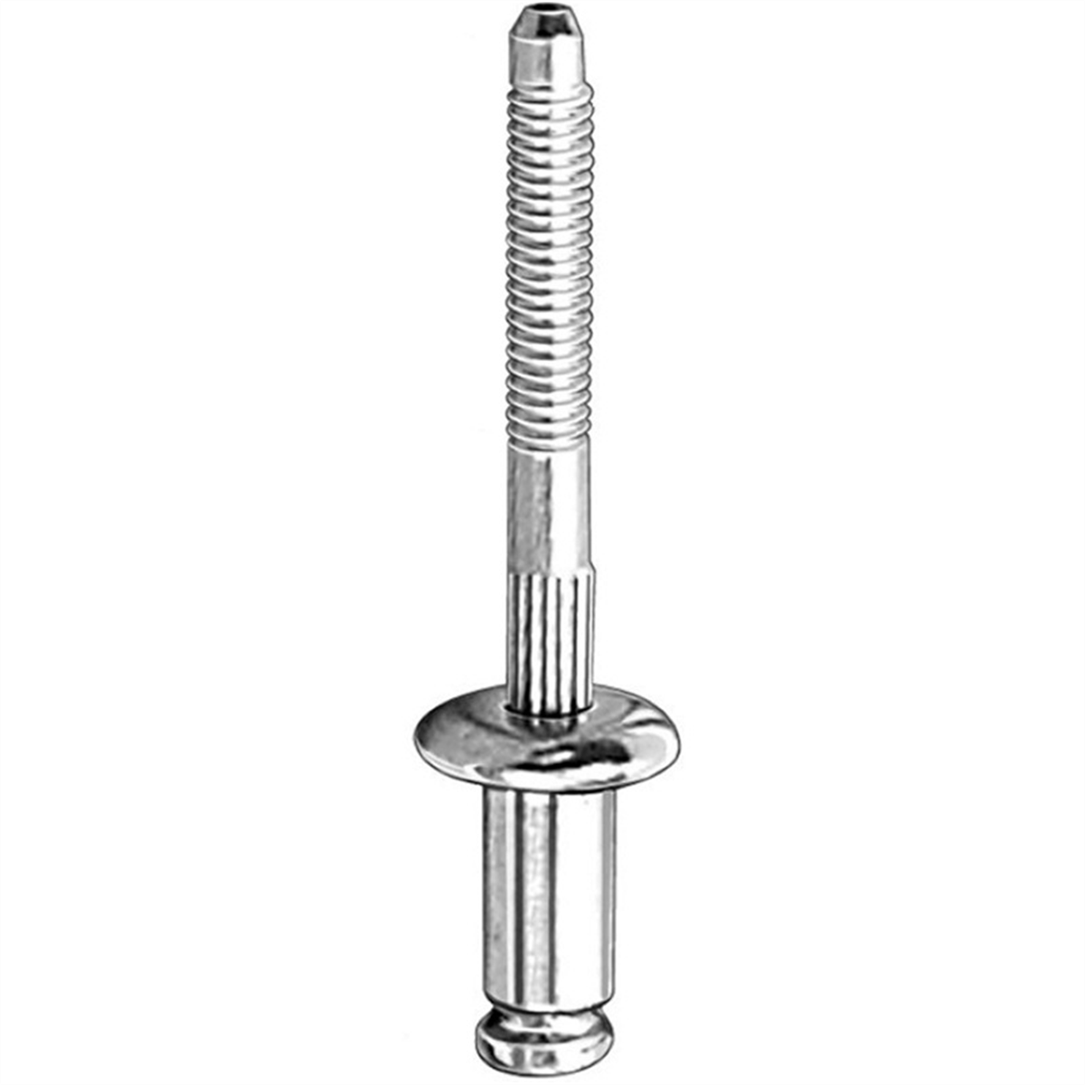 Auto Window Regulator Rivet This is dynamically set.