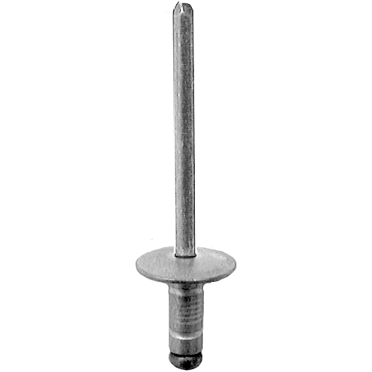Auveco Lge Flange Rivet 5/32 Dia. 3/64-1/4 Grip Alum/stl