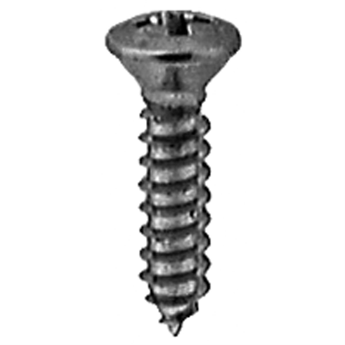 Auveco #8 X 3/4 Phillips Oval Head Tap Screw Chrome