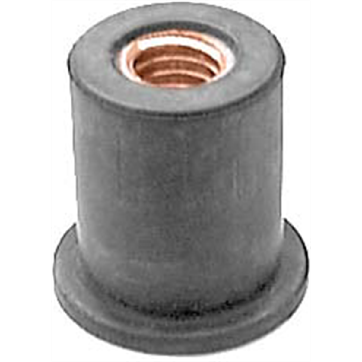 Auveco Pak Well Nuts, M6-1.0