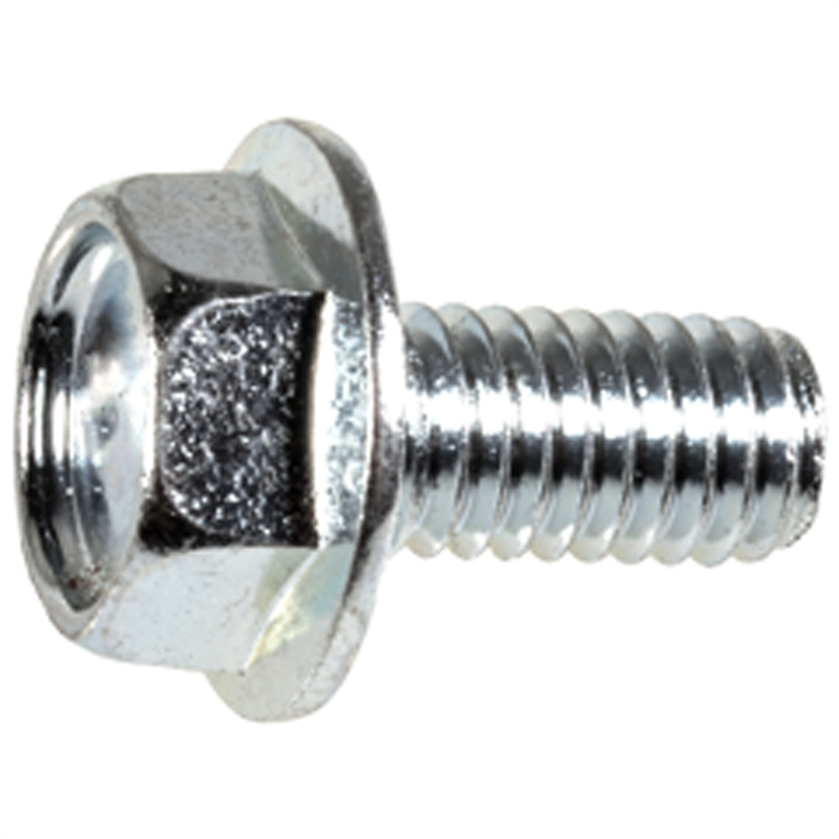 Auveco Auvecopak M6-1.0 X 12mm License Plate Screw