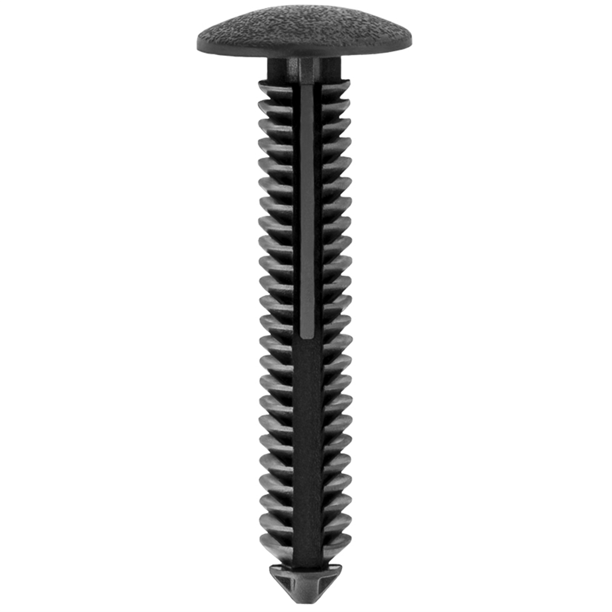 Auveco Pak Ford Retainers