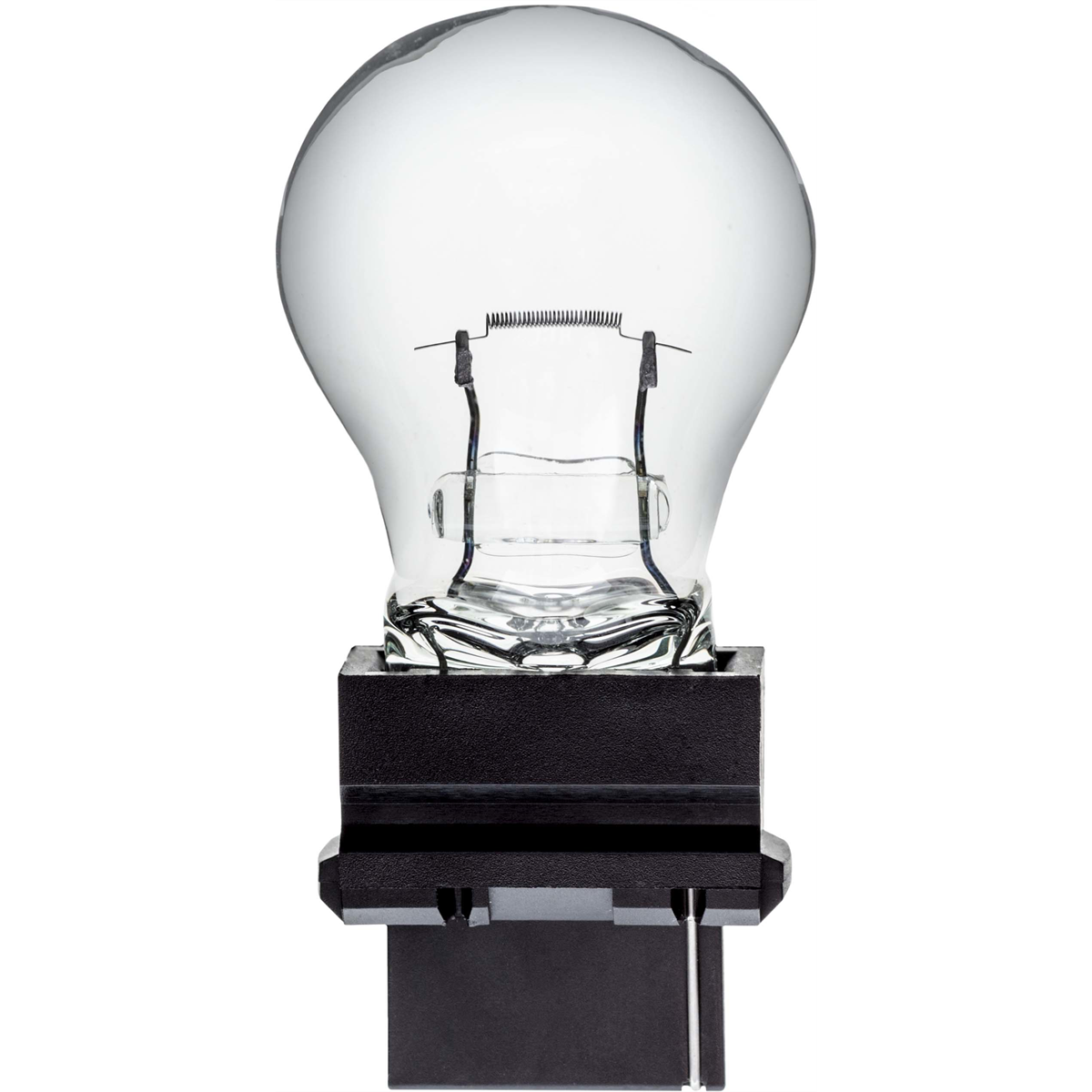 AUVECO Pk Ind Bulb # 3156  (10 per box)