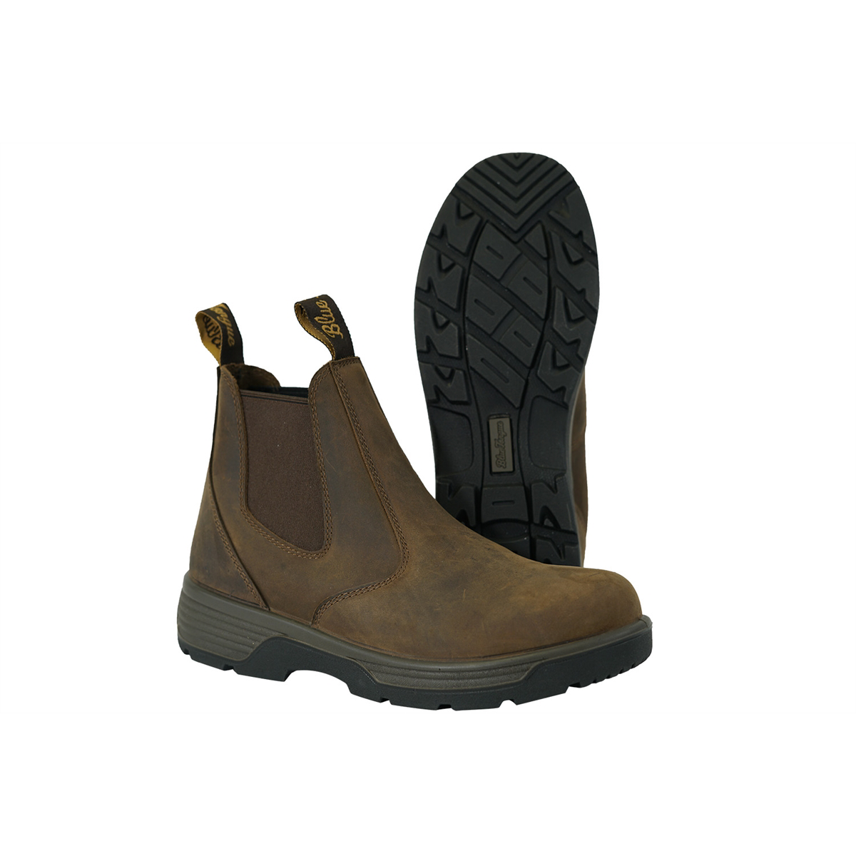 Blue Tongue Cigar Brown 6 in Slip On 13 US