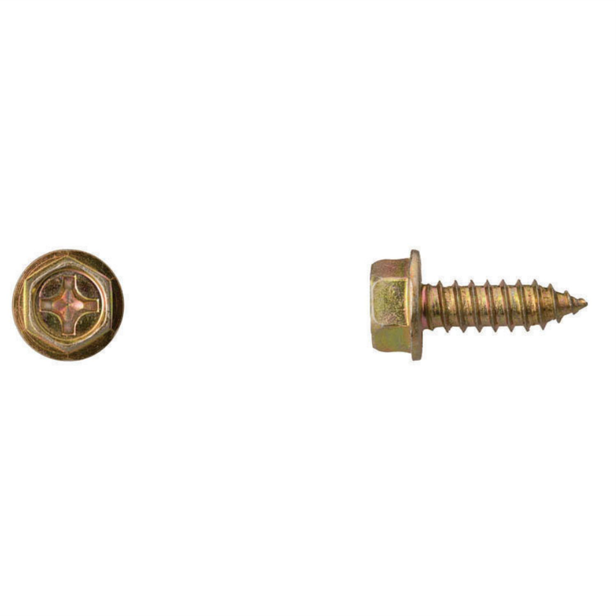 Disco Automotive Hardware (50) 1/4"(14)x 3/4" License Plate Screw