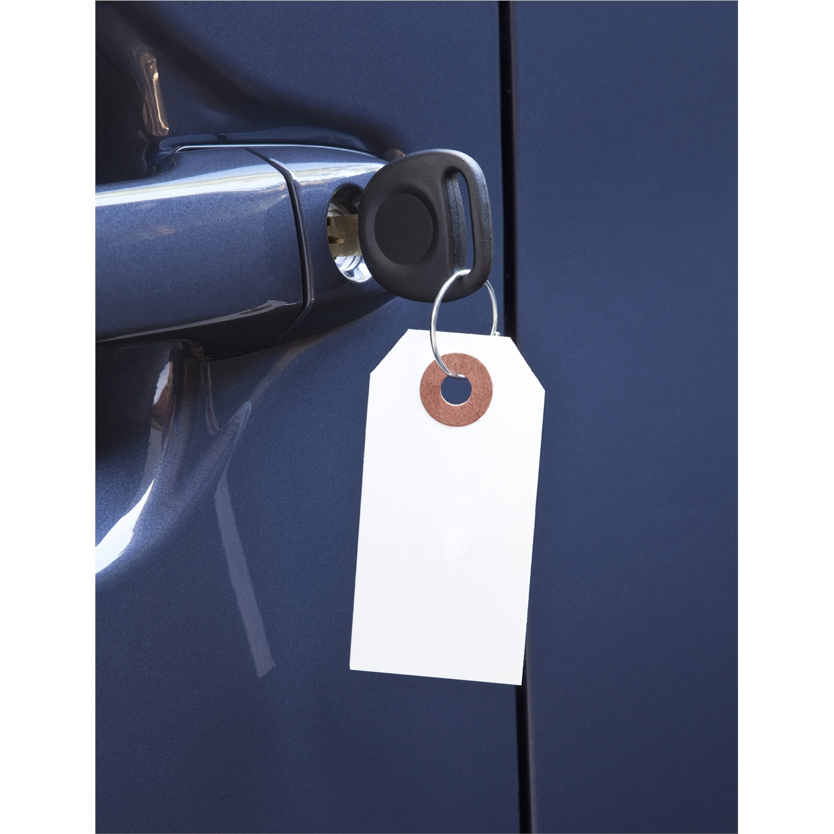 Petoskey Plastics Paper Key Tag w/ Metal Ring 1000/Box