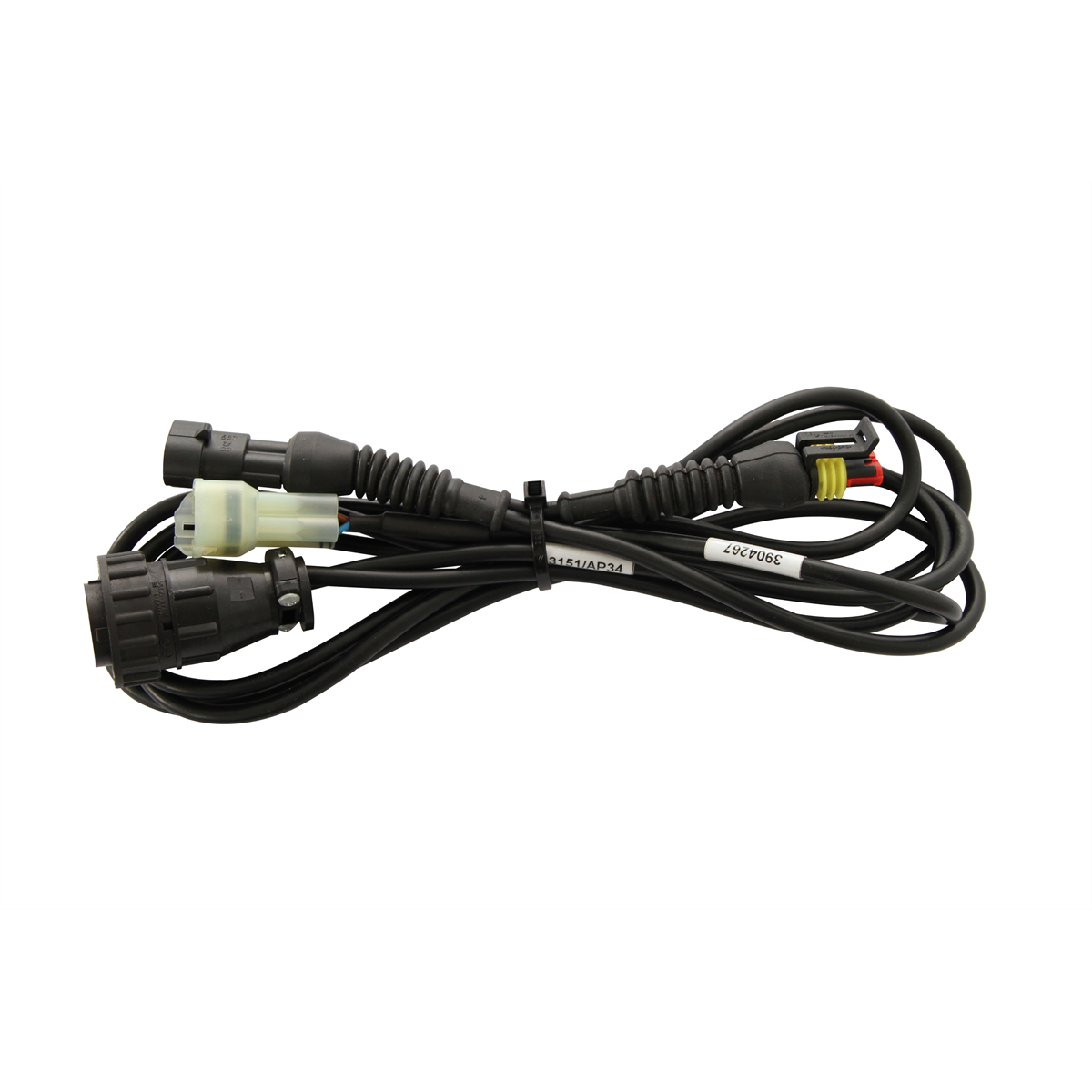 TEXA MV AGUSTA cable from 2012 > (3151/AP34)